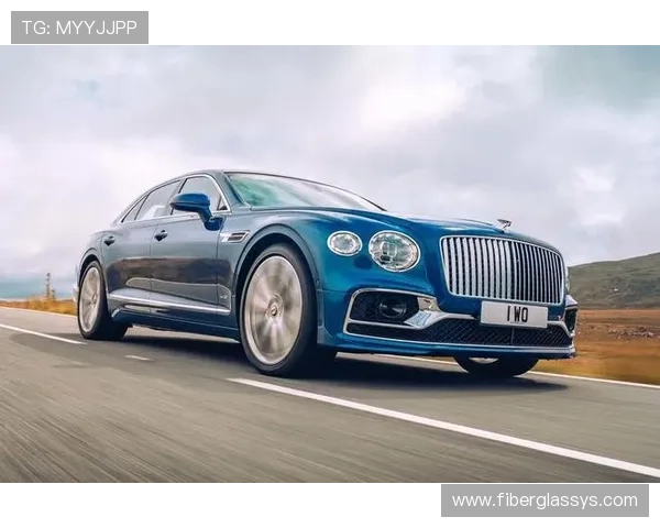 飞驰集团会员注册成功后可以享受哪些独家权益和服务内容